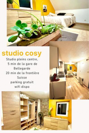 Cozy studio near train station and Swiss border